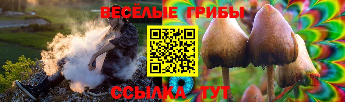 Псилоцибиновые грибы Magic Shrooms Богородск